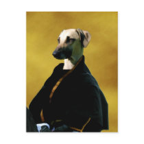 Sloughi Postcard Nobility Dogs Gift