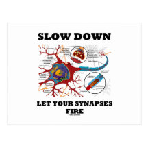 Slow Down Let Your Synapses Fire Neuron / Synapse Post Cards