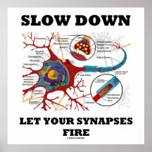 Slow Down Let Your Synapses Fire Neuron / Synapse Print