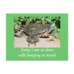 slow keeping in touch card postcards