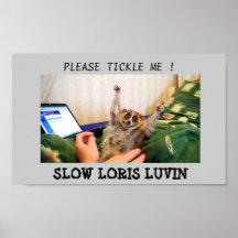 Slow Loris Luvin Posters