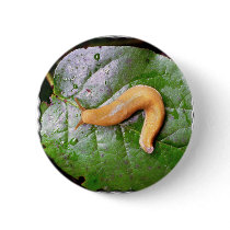 Slug on Leaf Button