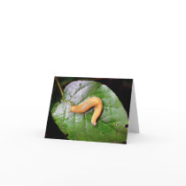 Slug on Leaf Note Card