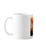 Slugs mugs