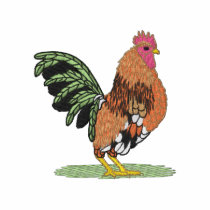 Small Bantam Rooster