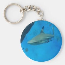 Small Black Tipped Shark Keychain