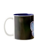 Small Blue Butterfly Coffee Cup Coffee Mugs