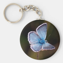 Small Blue Butterfly Keychain