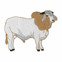 Small Brahman