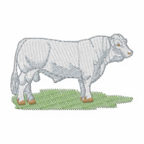 Small Charolais