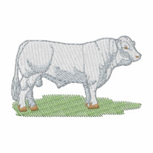 Small Charolais