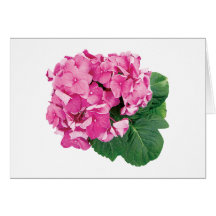 Small Cluster of Pink Geraniums Card