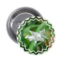 Small Cup Daffodils Button