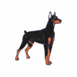Small Doberman embroidered shirts