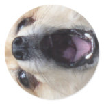 Small Dog with a BIG YAWN Stickers