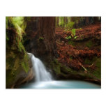 Small forest waterfall postcard