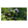 Small Growing Purple Dahlia Personalized Photo Card