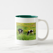 Small herd of bulls mugs