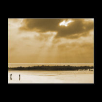 Small in Sepia postcards