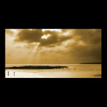 Small in Sepia posters