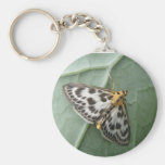 Small Magpie Moth Keychain