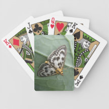 Small Magpie Moth Playing Cards