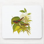 Small Minivet Mousepad