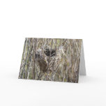 Small Nest Card