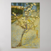 Small pear tree in blossom Poster