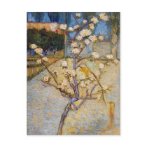 Small Pear Tree in Blossom, Vincent Van Gogh