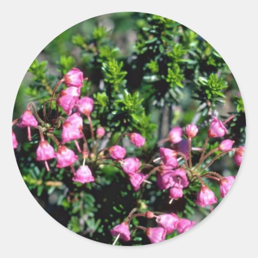 Small Pink Bell-Shaped Flowers flowers Stickers