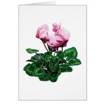 Small Pink Cyclamen Card