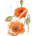 'Small Poppies' T-Shirt