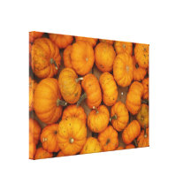Small Pumpkins Canvas Prints