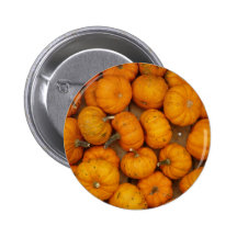 Small Pumpkins Pinback Buttons