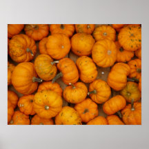 Small Pumpkins Print