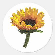 Small Sunflower Round Stickers