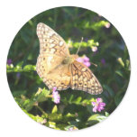 Small tan butterfly stickers