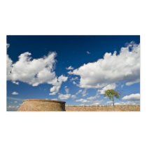 small tree, big sky and brick wall