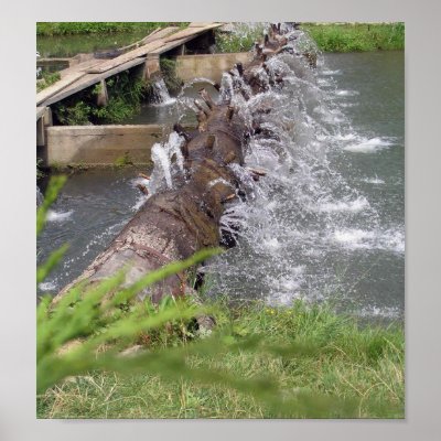 Small waterfall poster by bastilique