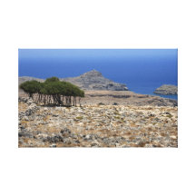Small wood on Rhodes Stretched Canvas Print