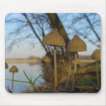 Small world mousepads