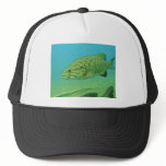 Smallmouth Bass hats