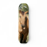 smart aleck horse skateboards