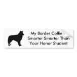 Smart Border Collie