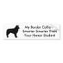 Smart Border Collie
