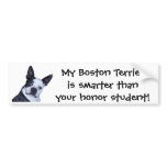 Smart Boston Terrier - Bumper Sticker bumper stickers