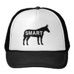 Smartass Mesh Hat