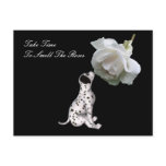 Smell Roses Puppy Rose Affirmation Postcard