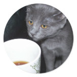 smell the coffee stickers